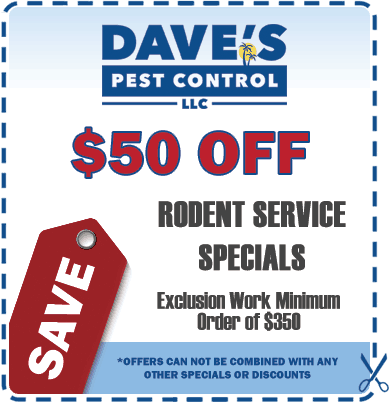 rodent-control-coupon