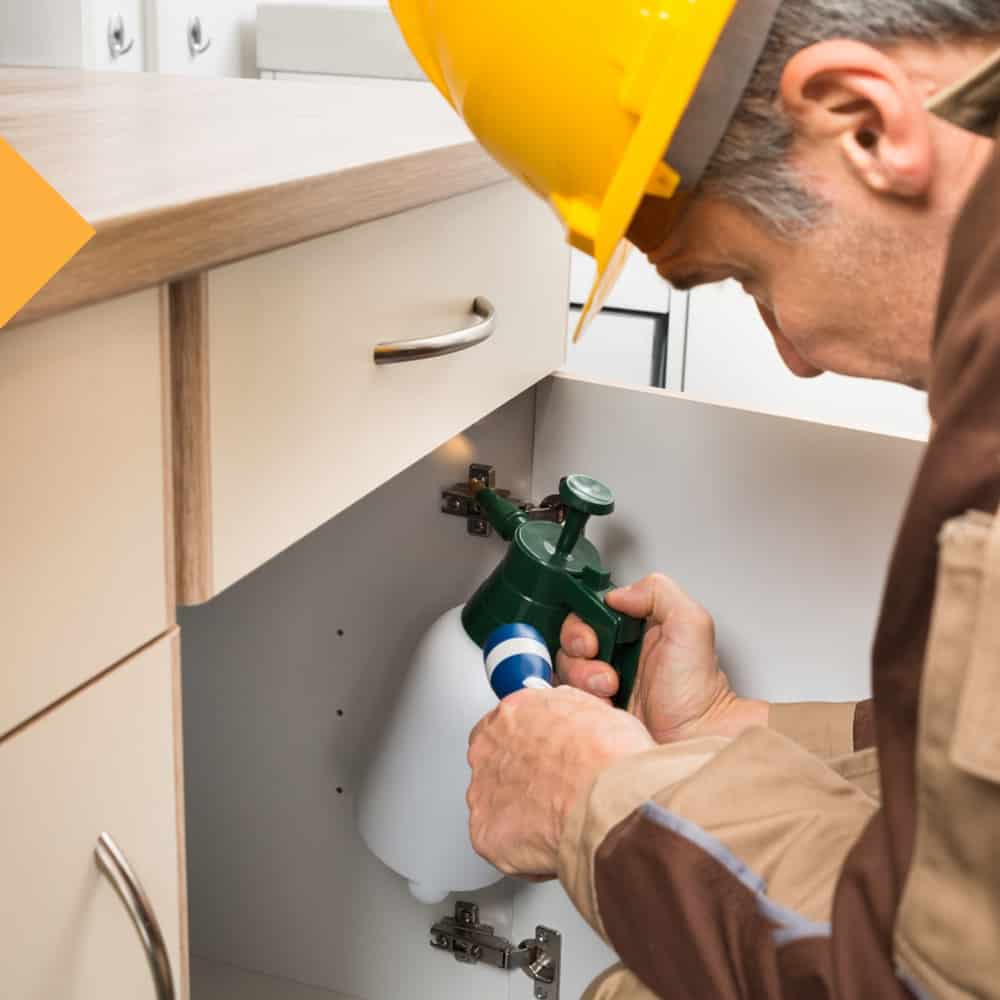 Pest Control Learn More About Our Services Dave's Pest Control