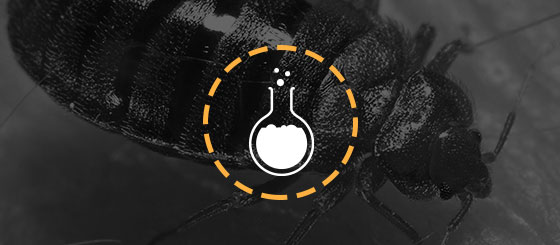 CTA copy CTA copy