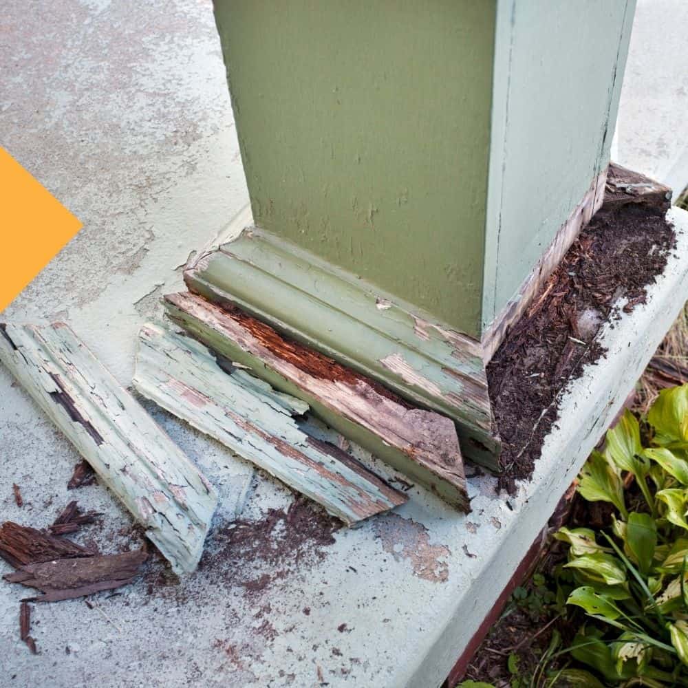 Termite Destruction Termite Destroying Post