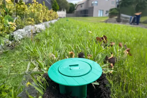 Sentricon termite baits