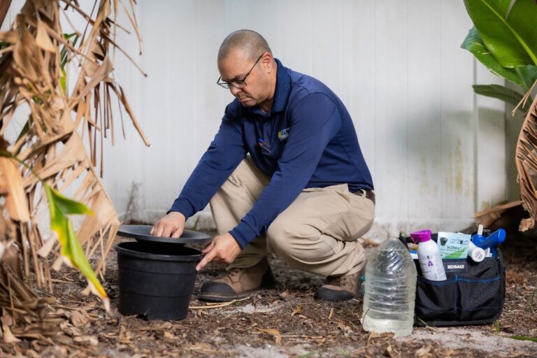 Pest control technician setting an outdoor trap to prevent aggressive pests