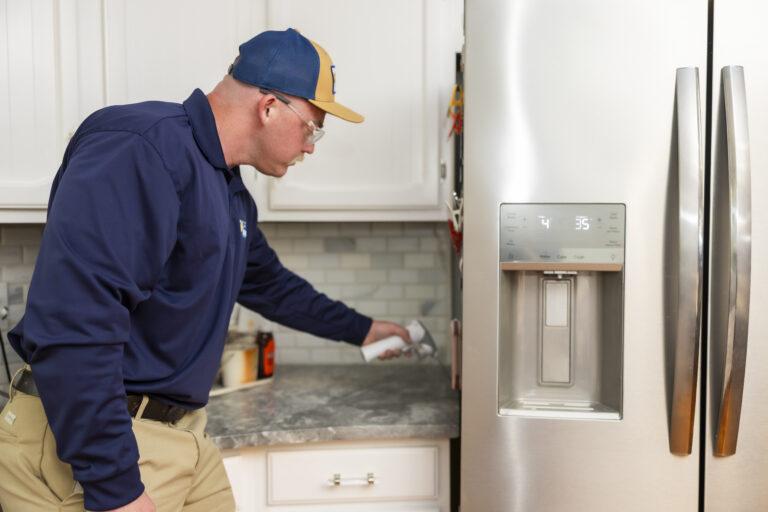 Professional Pest Control in the Kitchen