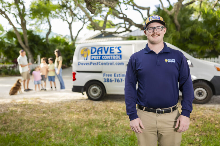 Pest control inspection at your place