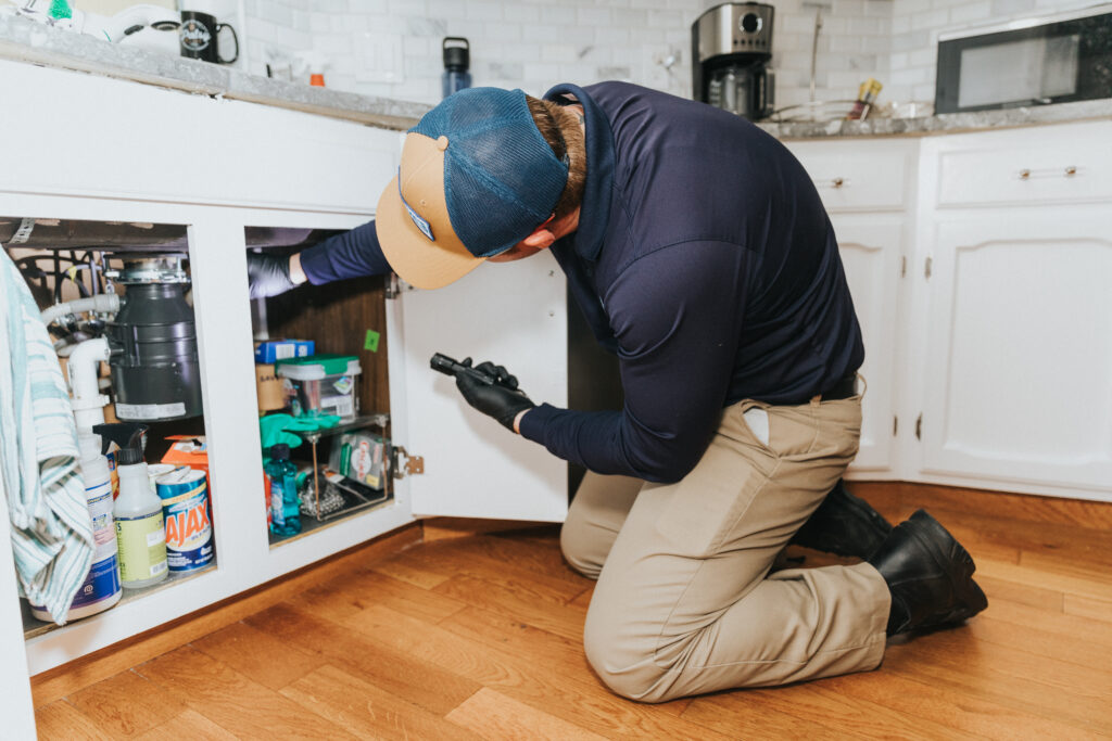 A quick exterminator service will help stop coming cockroaches in the apartment.