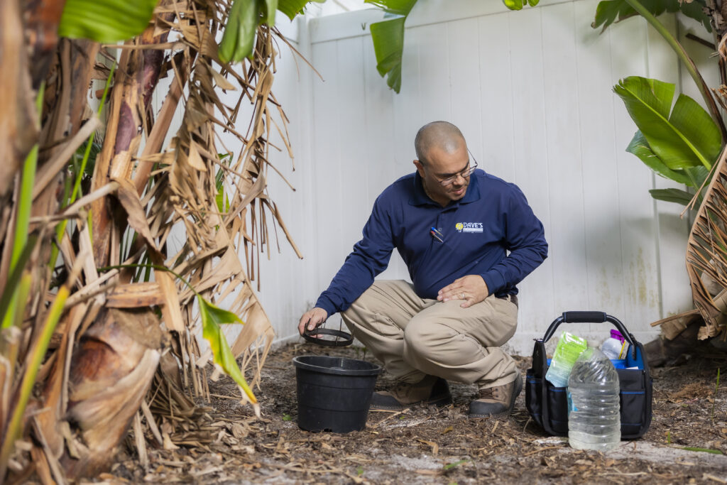 Dave’s Pest Control technician inspecting mosquito breeding sites in a Florida backyard