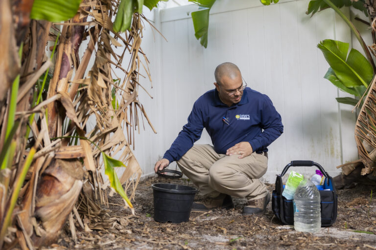 Dave’s Pest Control technician inspecting mosquito breeding sites in a Florida backyard