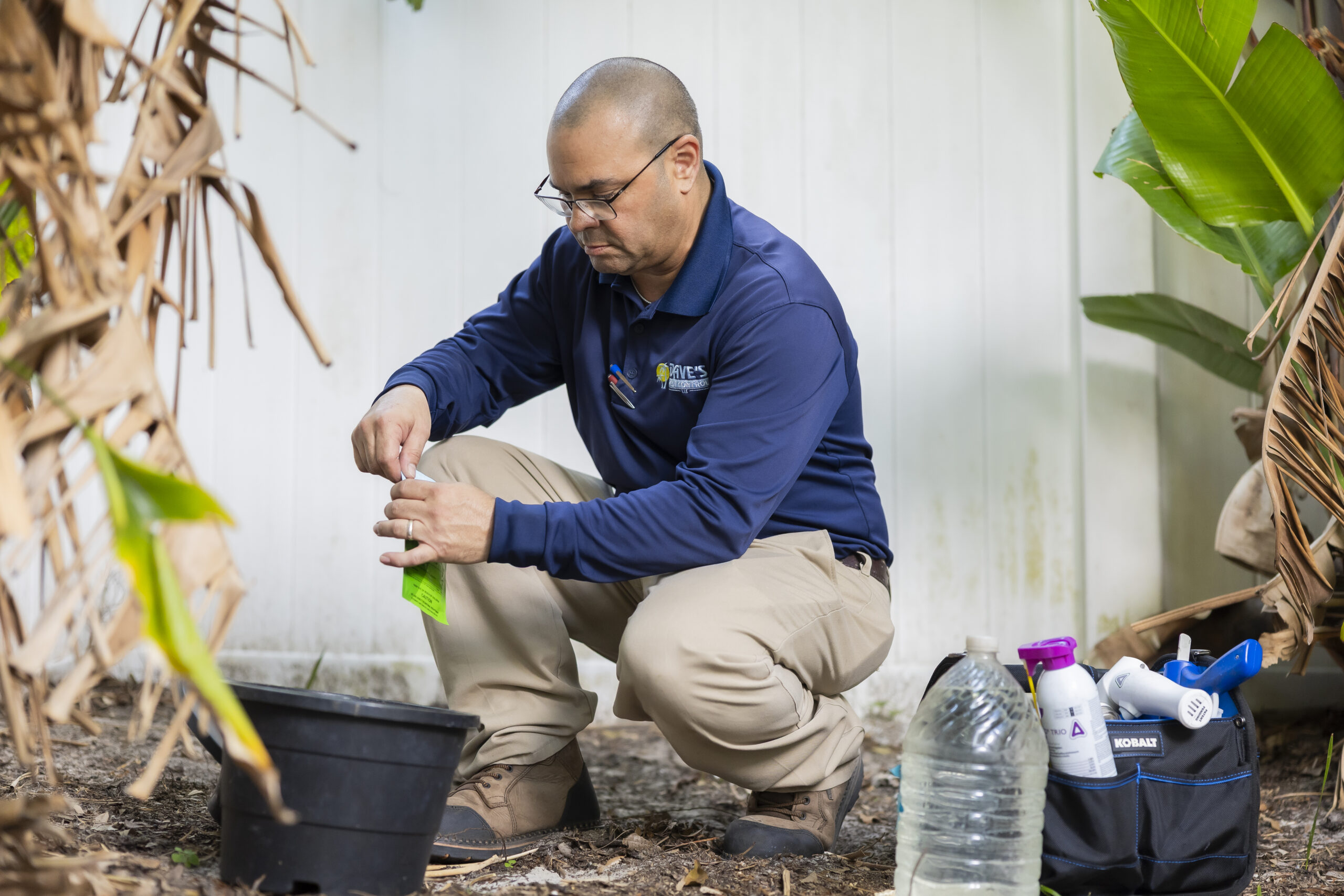 Mosquito Treatment for Florida home 