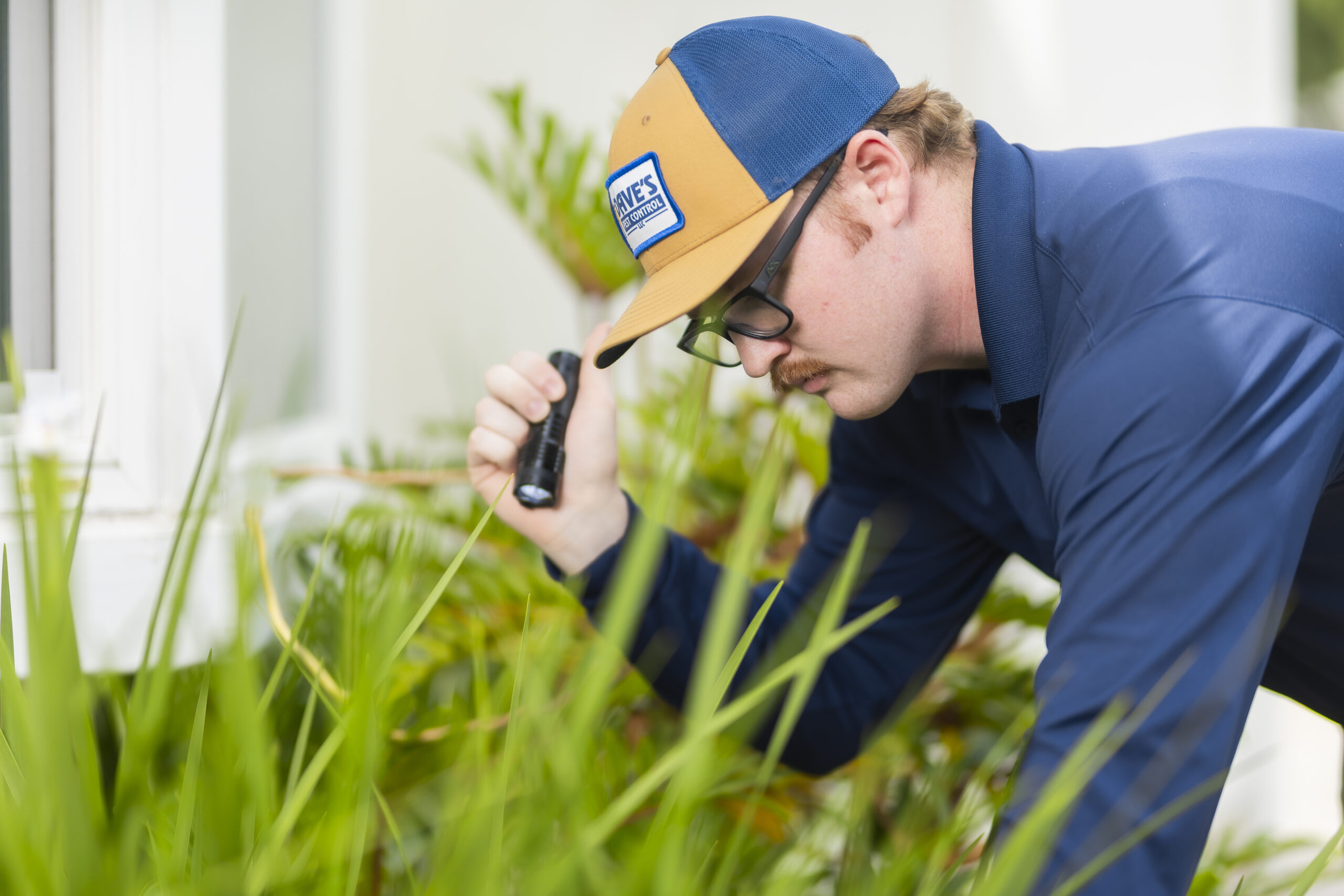 Florida home owners often make pest control mistakes.